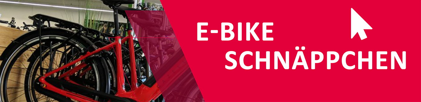 Schnäppchen e-motion e-Bike Welt Bad Hall