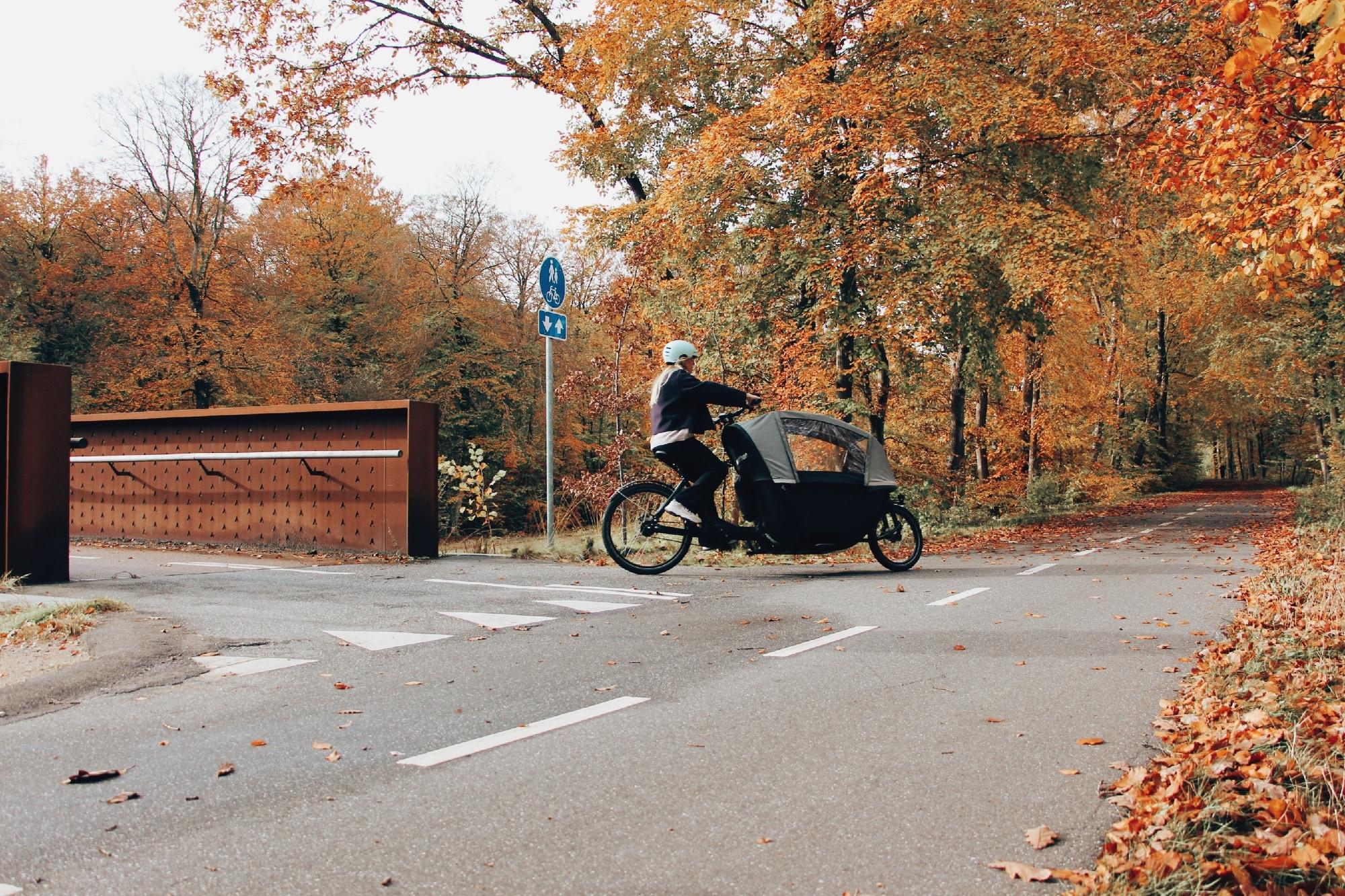 Erleben Sie das Winther W2 Cargo Bike: Das perfekte E-Lastenrad fĂĽr Ihre Abenteuer in herbstlicher Landschaft.