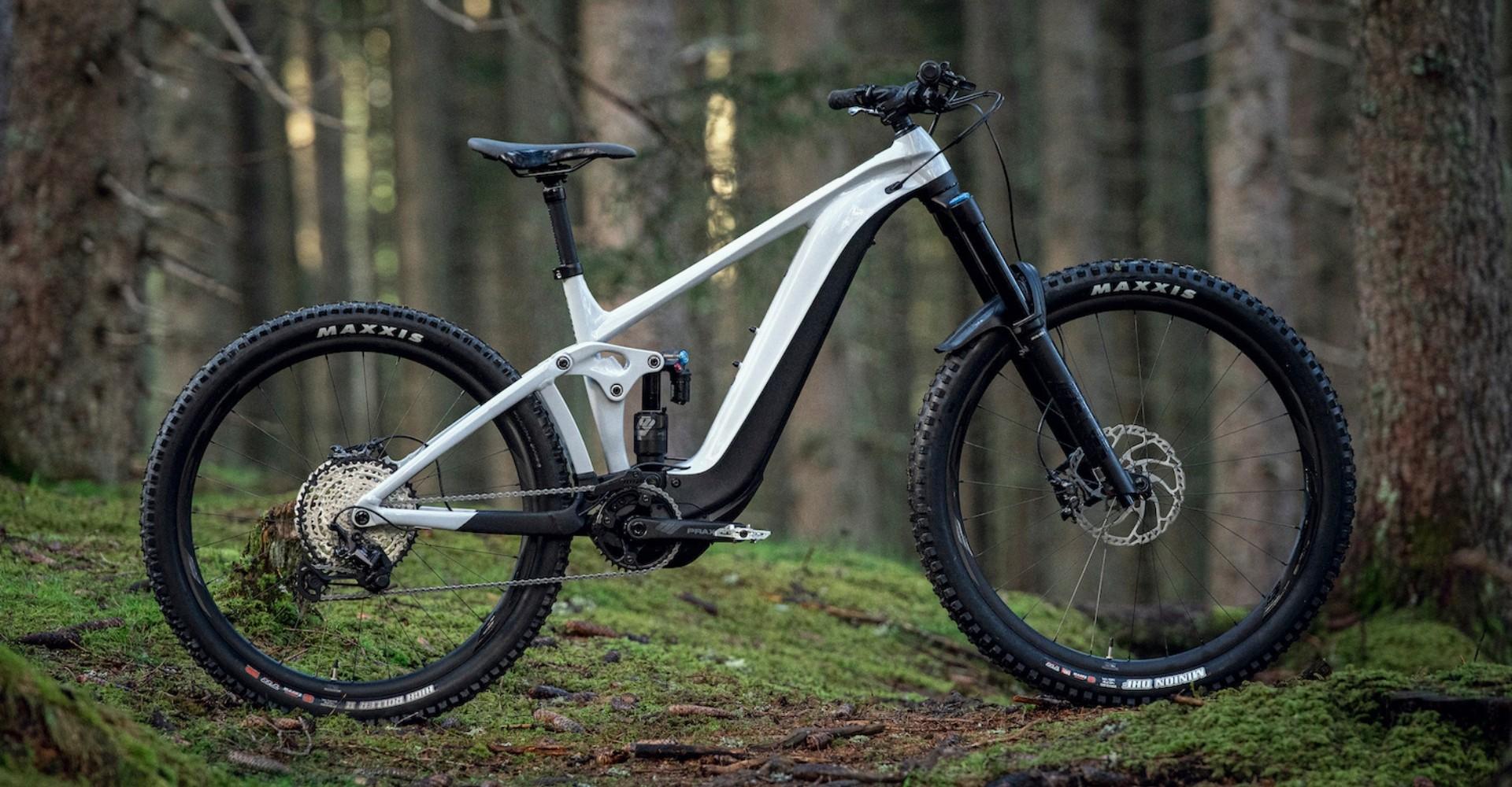 Das e-Bike Modell Reign E+ von Giant im Wald