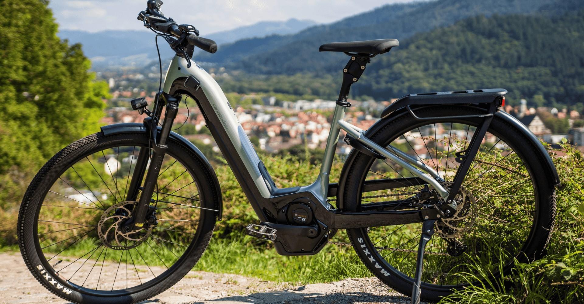 Das Bild zeigt ein silbernes Cannondale Tesoro Neo X 1 e-Bike, das in einer malerischen Landschaft positioniert ist