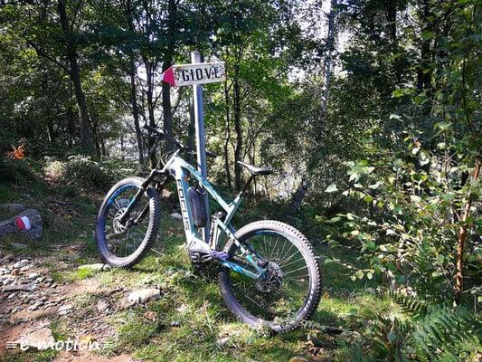E-Mountainbike auf Waldpfad mit Wegweiser