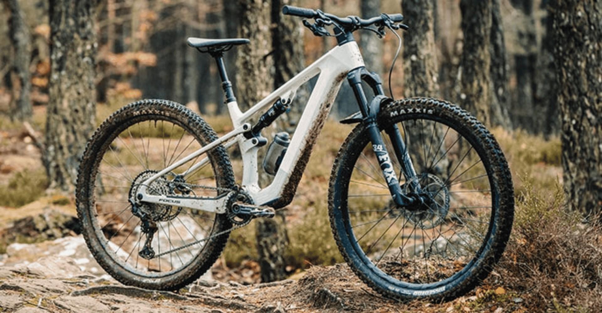 Das Focus VAM² SL Light Modell im Wald