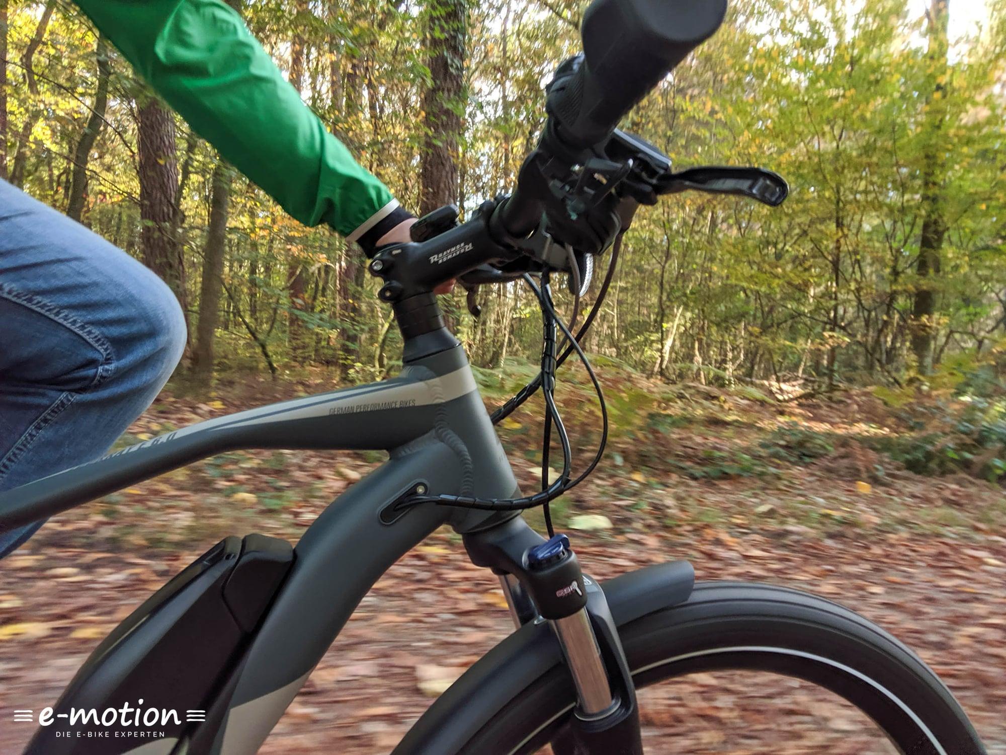 Person fährt e-motion E-Bike durch herbstlichen Wald