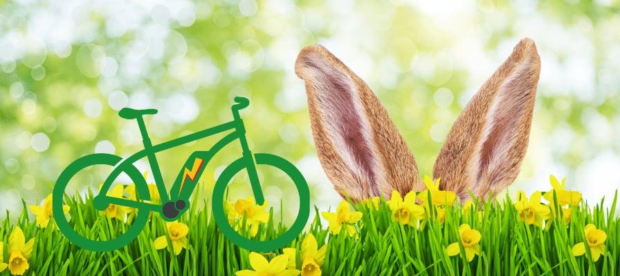Fahrrad und Hasenohren im Frühlingsgras mit gelben Blumen
