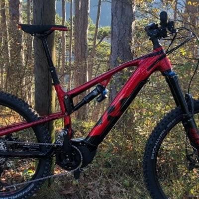 Raymon Trailray 2021 E-Mountainbike im Wald