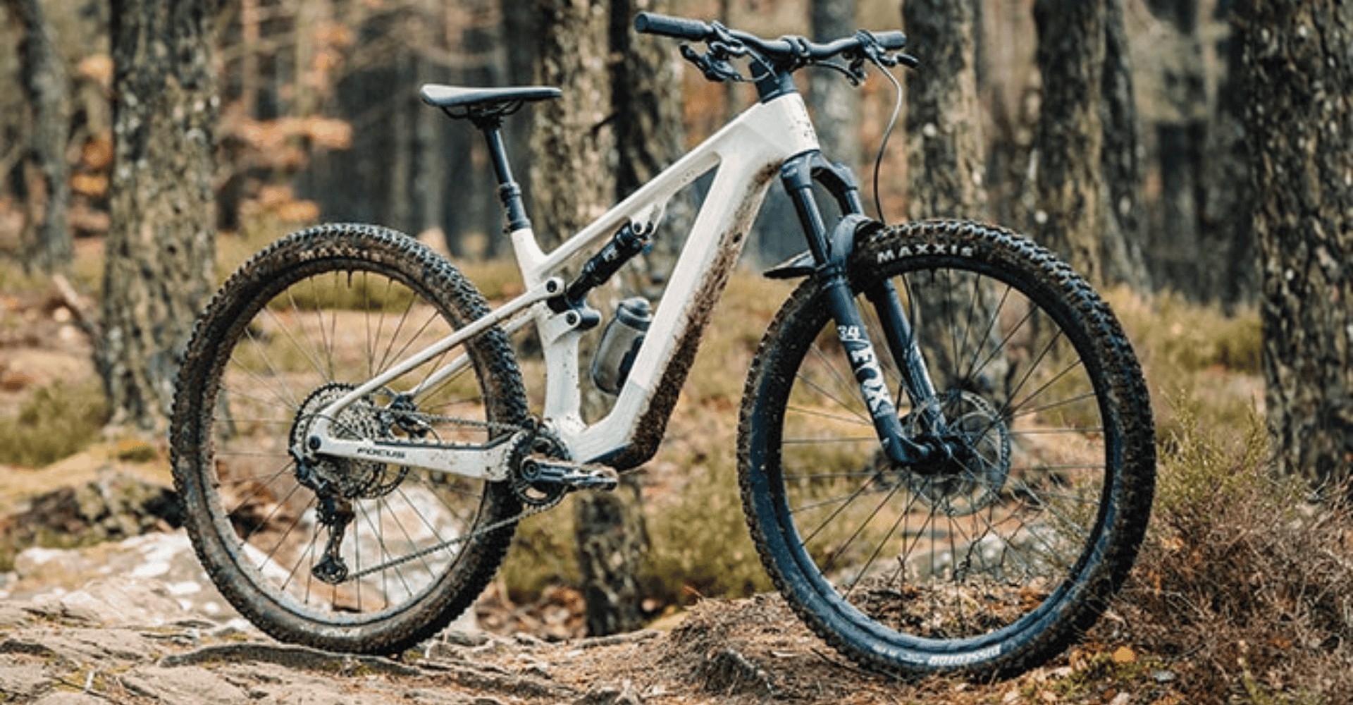 Das Focus VAM² SL Light Modell im Wald