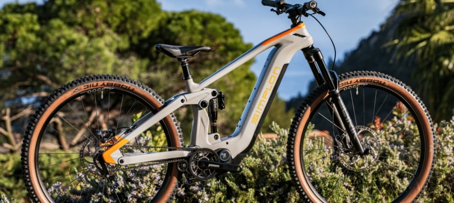 Simplon E-Bike in natürlicher Umgebung vor Bergkulisse