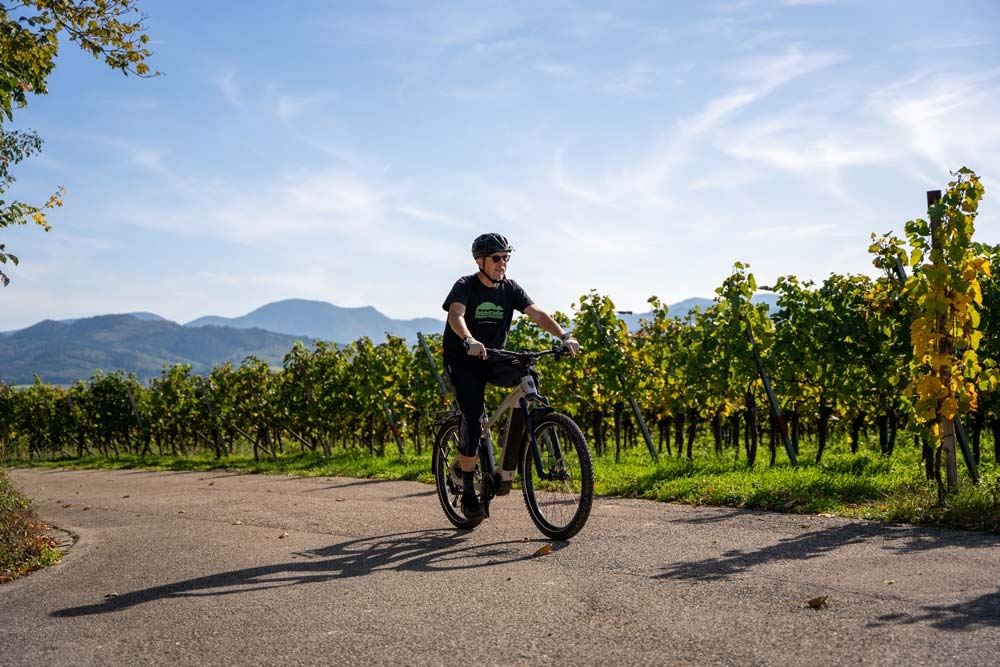 Erleben Sie den Hercules Nos SUV 36 auf einer malerischen Fahrradtour durch Weinberge. Ideal für Abenteuer und Genu