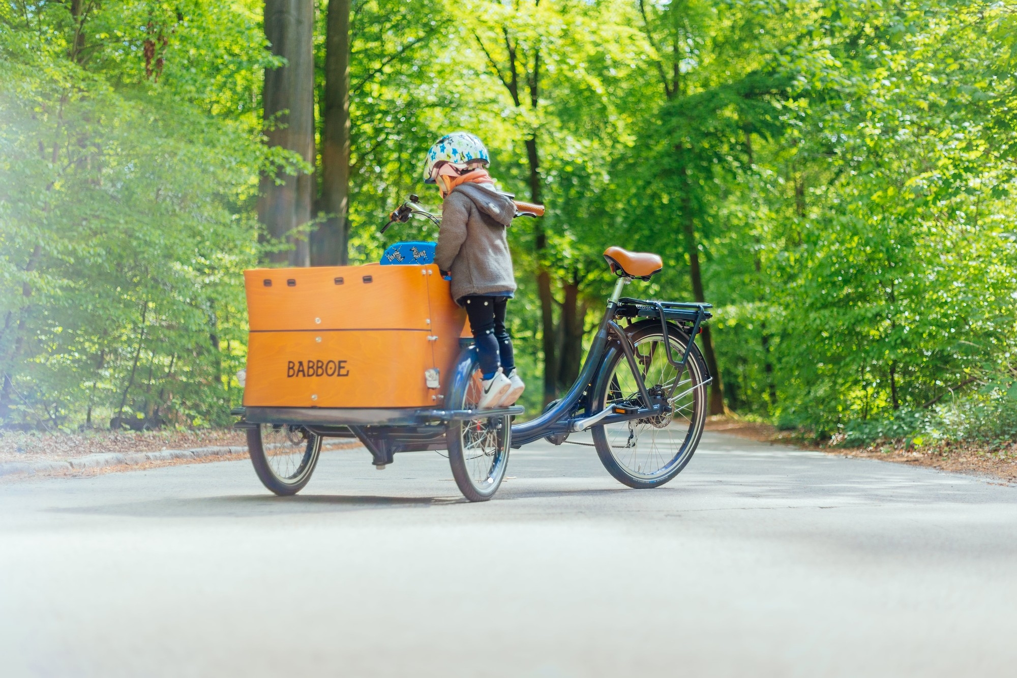 Das Bild zeigt ein Babboe Curve E, ein E-Cargo-Bike, das sich ideal für Familienausflüge eignet.