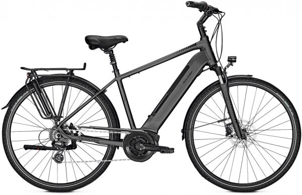 Raleigh Bristol 9 2019 Trekking e-Bike