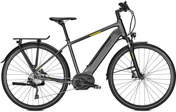 Raleigh Kent 10 2019 Trekking e-Bike