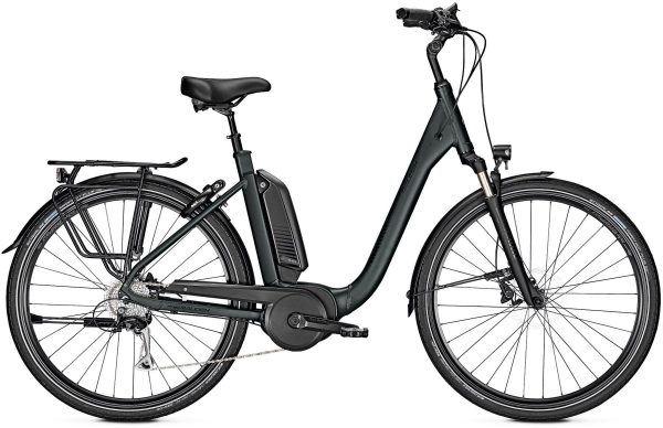 Raleigh Kingston 9 XXL 2019 Trekking e-Bike