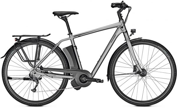 Raleigh Leeds 9 2019 City e-Bike