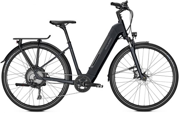 Raleigh Stanton 10 2019 Trekking e-Bike