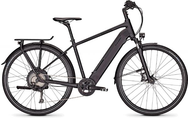 Raleigh Stanton 11 2020 Trekking e-Bike