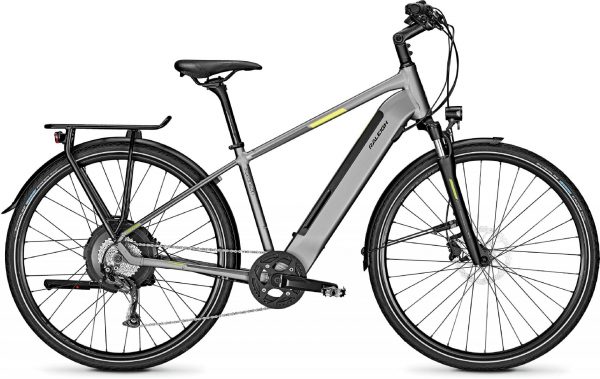 Raleigh Stanton 9 2020 Trekking e-Bike