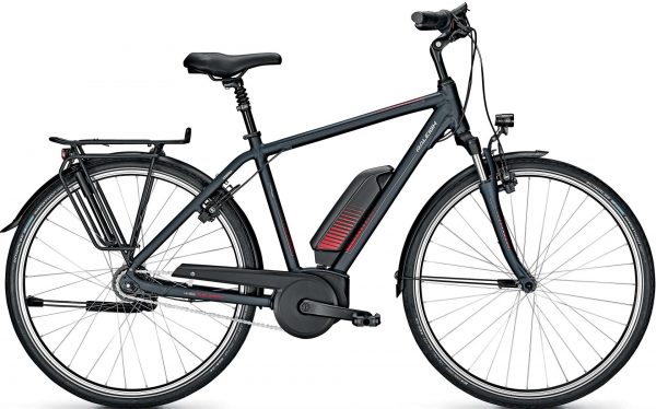 Raleigh Cardiff 8 2020 City e-Bike