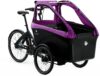 eT20 06060 02 de Triobike boxter e 2020