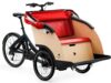 eT20 06066 01 de Triobike taxi 2020