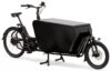 eT20 06080 01 de Urban Arrow Cargo L Flatbed CX 2020