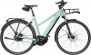 eT21 05213 01 de Riese & Müller Roadster Mixte vario 2021