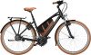 eT21 05263 02 de Riese & Müller Cruiser Mixte vario 2021