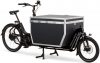 eT21 07556 03 de Urban Arrow Cargo Flatbed L Cargo Line Rohloff 2021