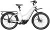 eT22 004655 03 at Riese & Müller Multicharger Mixte GT rohloff 2022
