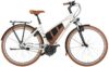 eT23 001575 02 at Riese & Müller Cruiser Mixte silent 2023