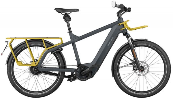 Riese & Müller Multicharger GT vario HS 2023 Lasten e-Bike