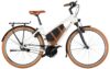 eT24 001179 02 at Riese & Müller Cruiser2 Mixte silent 2024