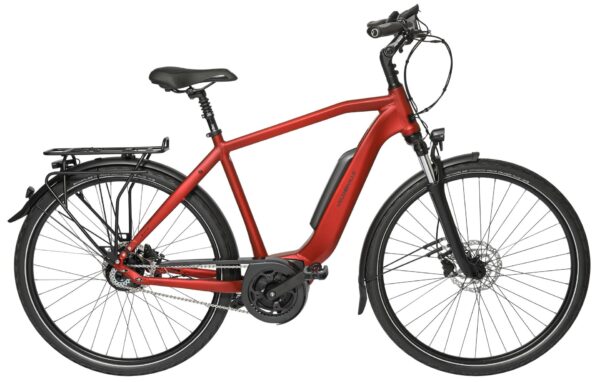 Velo de Ville AEB 200 CUES 9 2024 Trekking e-Bike