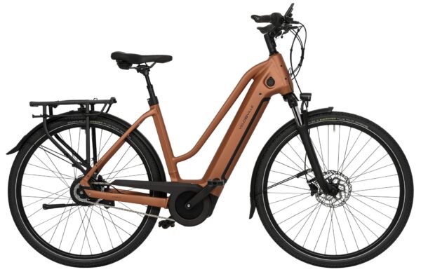 Velo de Ville AEB 290 Nexus 8 2024 Trekking e-Bike