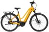 eT25 003977 01 at Velo de Ville AEB 990 PRO Rohloff 2025