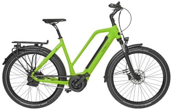 Velo de Ville SEB 490 PURE CUES 10 2025 SUV e-Bike